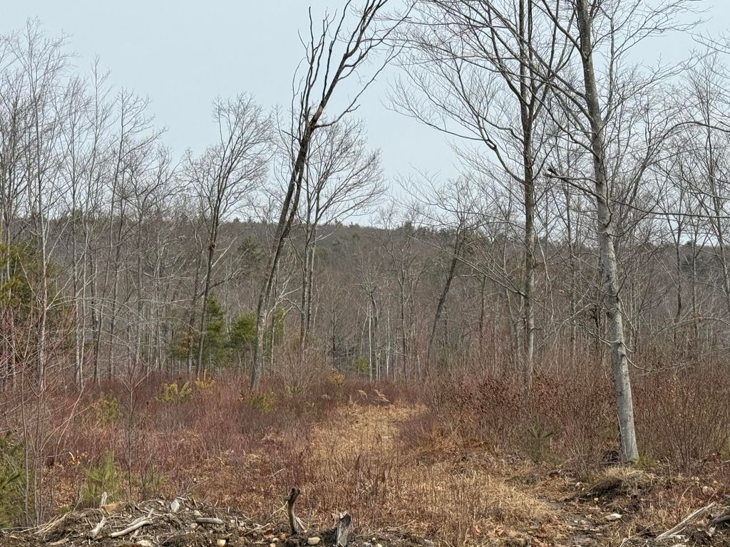 Photo of Lot A8 West Road, Waterboro, ME 04087 (MLS # 1654854)