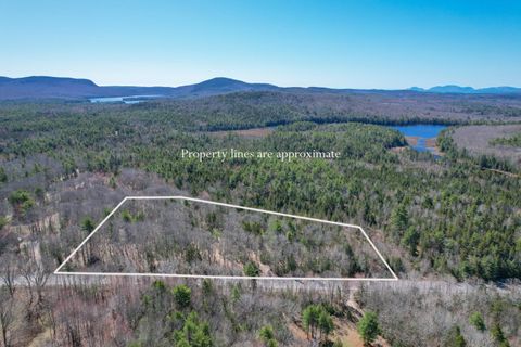 Photo of M10 L19-4 Blackswoods Road, Franklin, ME 04634 (MLS # 1661822)