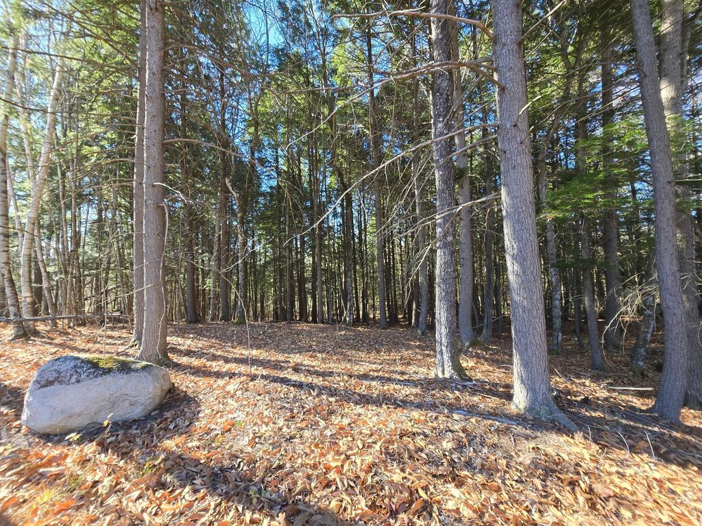 Photo of 29 Hawk Ridge Road, Harrison, ME 04040 (MLS # 1610253)