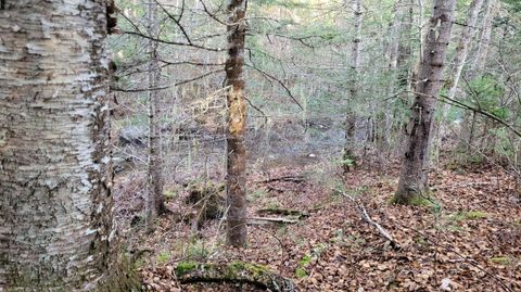 Photo of Lot 11 Fox Run, Mariaville, ME 04605 (MLS # 1650659)