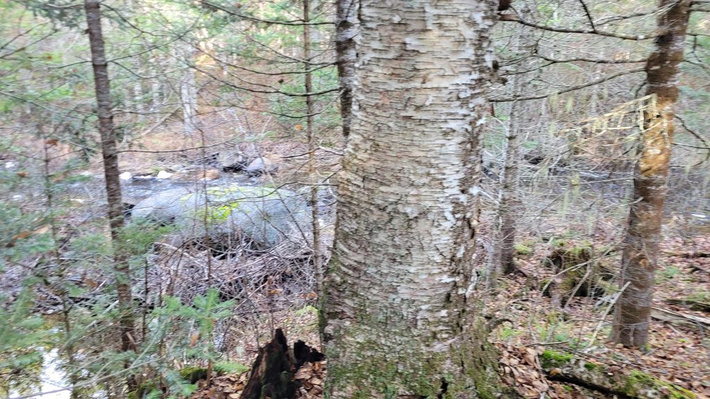 Photo of Lot 11 Fox Run, Mariaville, ME 04605 (MLS # 1650659)