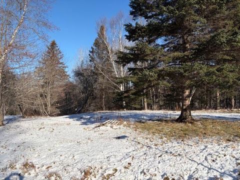 Photo of 207/60 East Side Road, Hancock, ME 04640 (MLS # 1646860)