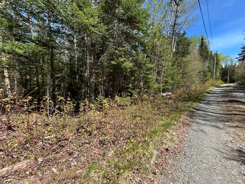 Photo of M17/L52-1 Stinchfield Road, Sandy River Plt, ME 04970 (MLS # 1663491)