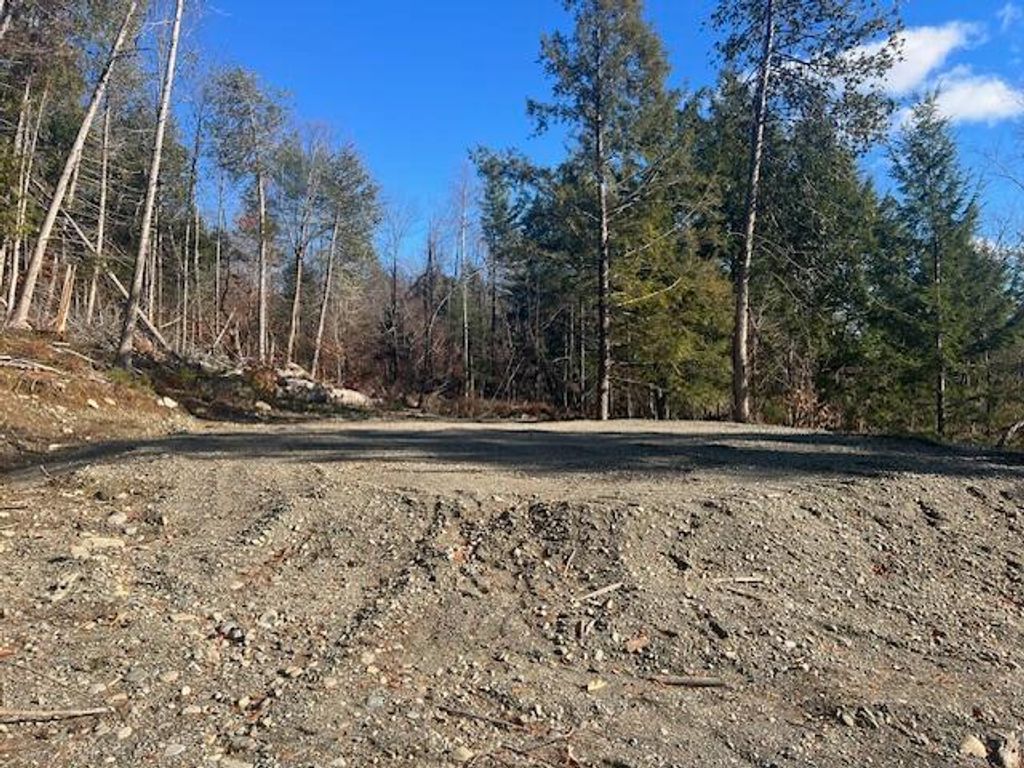 Photo of Lot 5 Peterson Road, Bowerbank, ME 04426 (MLS # 1642587)