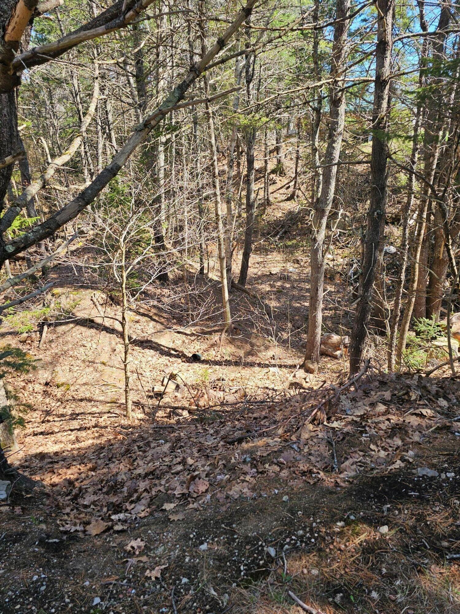 Orland, Maine 04472, United States, 3 Bedrooms Bedrooms, ,1 BathroomBathrooms,Residential,Active,122838