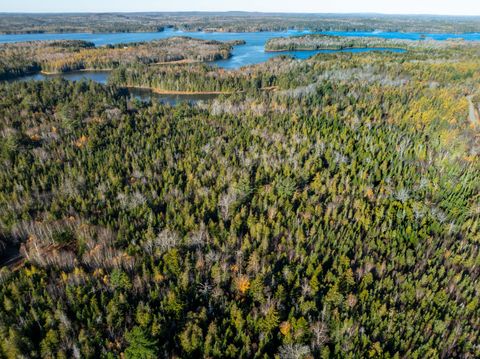 Photo of 01-4 WA035, Trescott Twp, ME 04652 (MLS # 1642699)