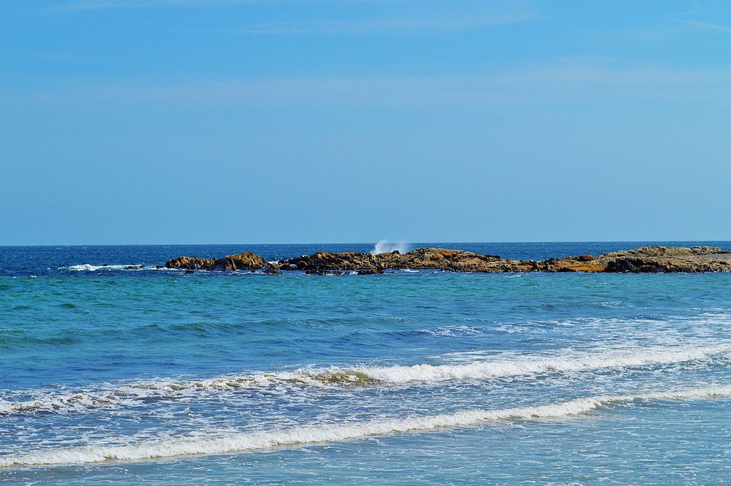 Photo of 147 Beach Avenue #42, Kennebunk, ME 04043 (MLS # 1641381)