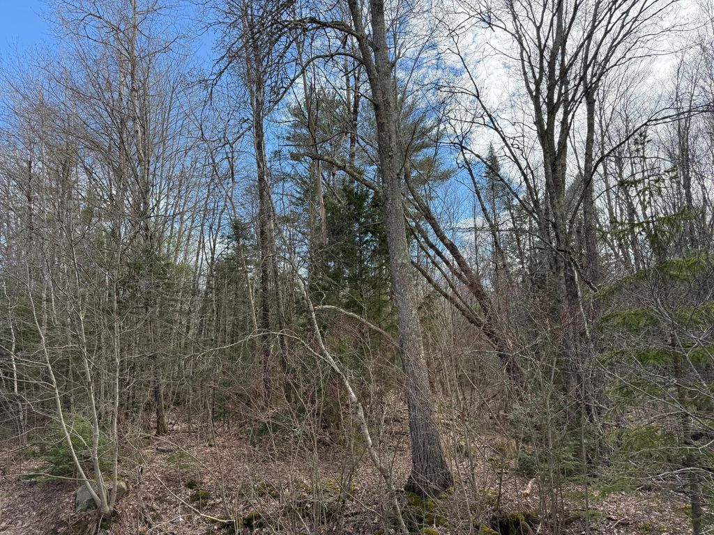 Photo of 872 Winslows Mills Road, Waldoboro, ME 04572 (MLS # 1658024)