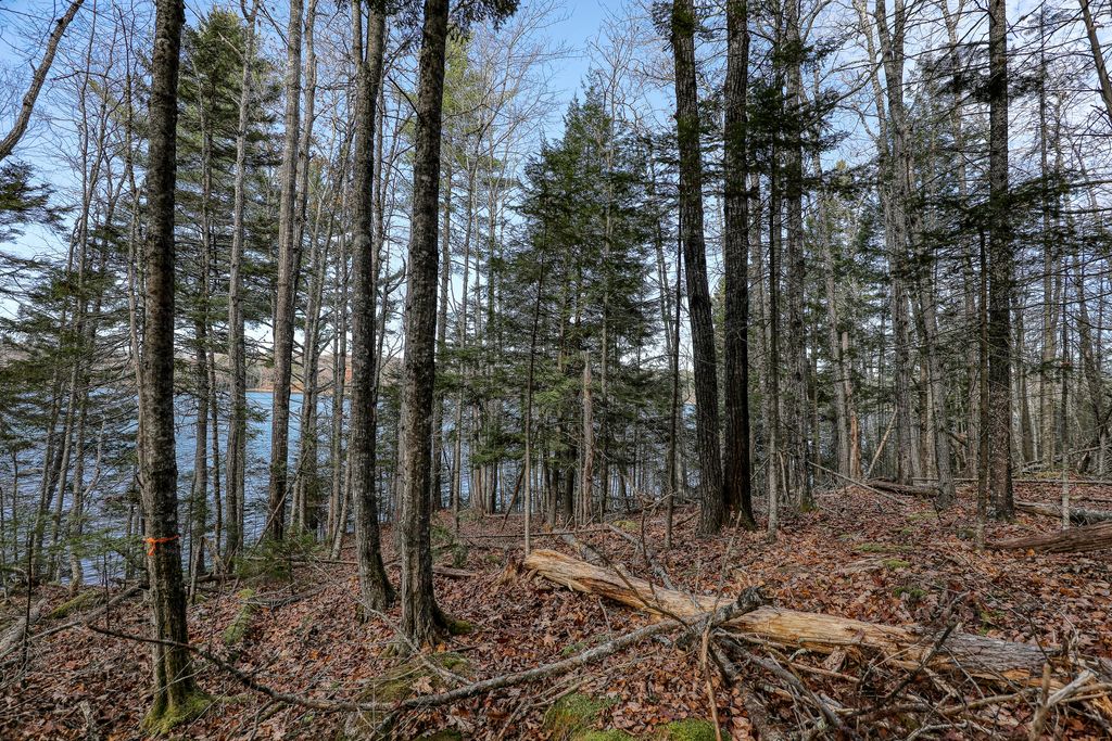 Photo of 005 Newbury Neck Road, Surry, ME 04684 (MLS # 1656213)