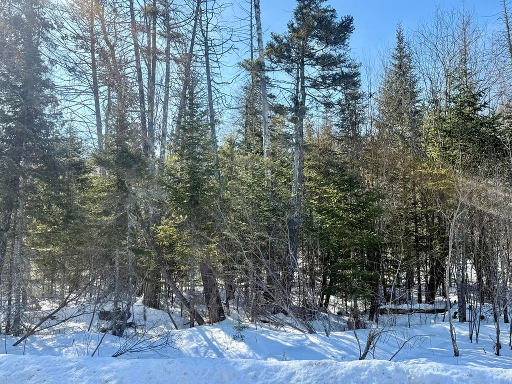 Photo of 8 Bowling Green Lane, Belfast, ME 04915 (MLS # 1653376)