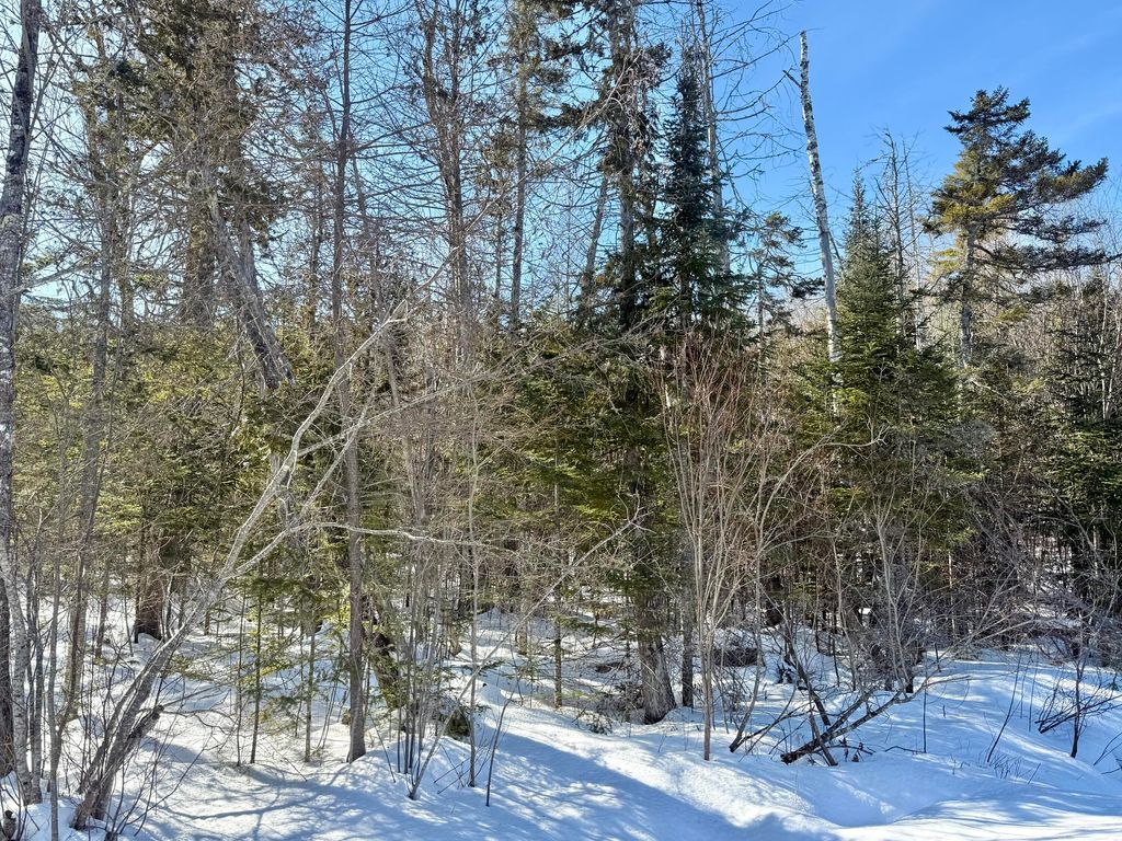 Photo of 8 Bowling Green Lane, Belfast, ME 04915 (MLS # 1653376)