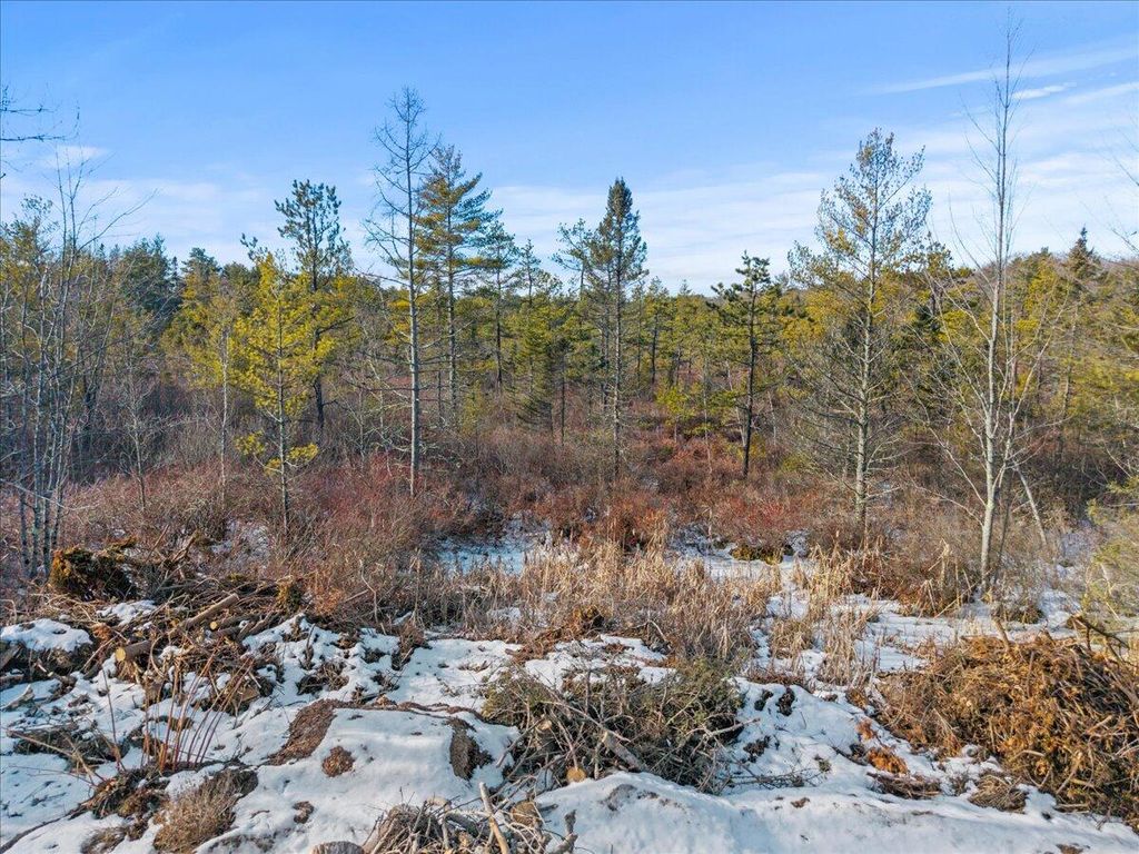 Photo of Lot# 0 Alewive Road, Lyman, ME 04002 (MLS # 1649310)
