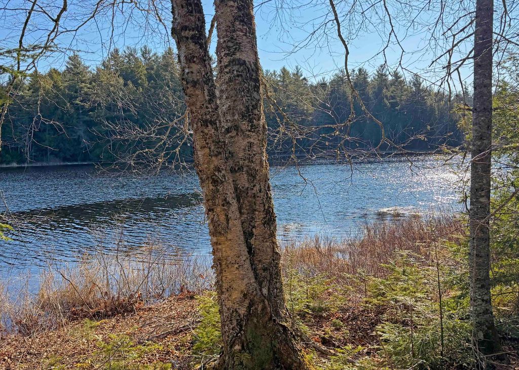 Photo of 10-13 Orrin Road, Mariaville, ME 04605 (MLS # 1657344)