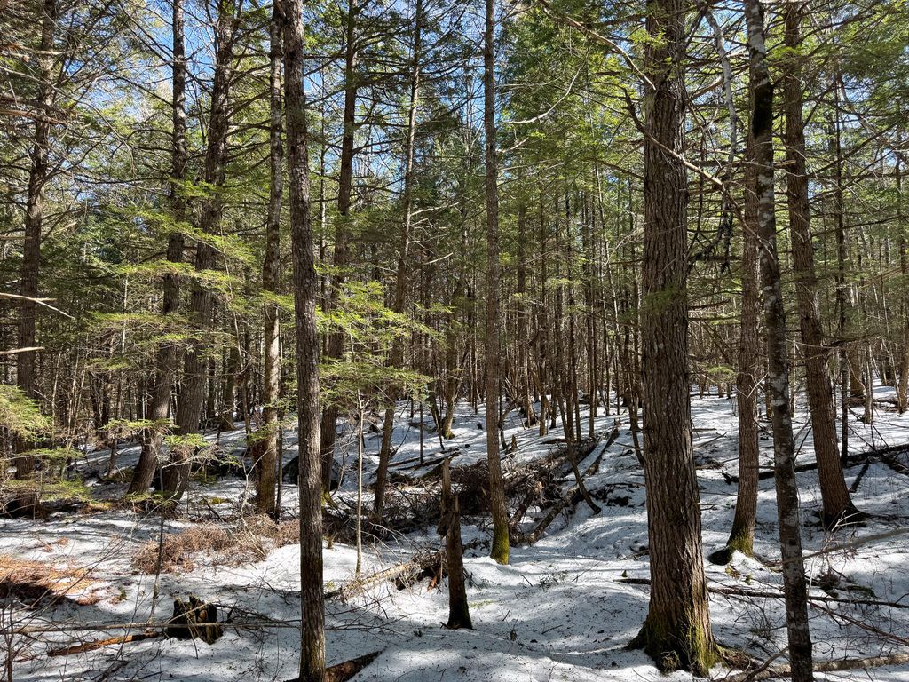 Photo of M1L58.3 Pickerel Pond Road, Greenfield Twp, ME 04418 (MLS # 1654204)