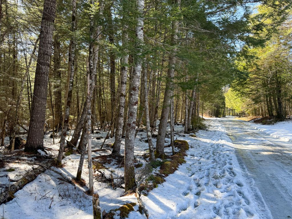 Photo of M1L58.3 Pickerel Pond Road, Greenfield Twp, ME 04418 (MLS # 1654204)