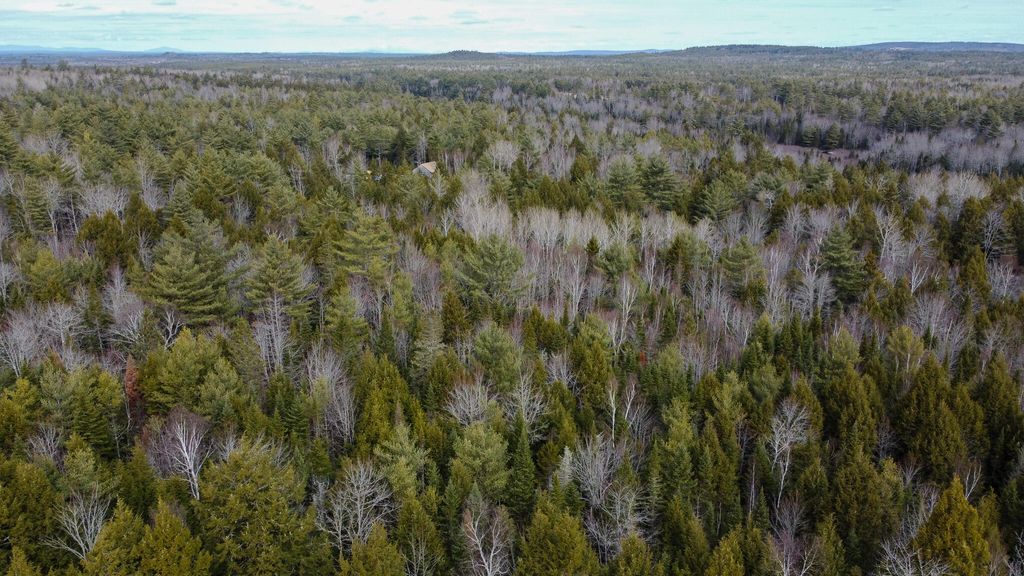 Photo of M1L58.3 Pickerel Pond Road, Greenfield Twp, ME 04418 (MLS # 1654204)