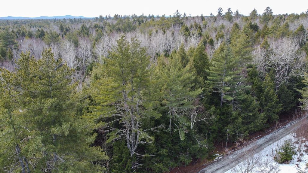 Photo of M1L58.3 Pickerel Pond Road, Greenfield Twp, ME 04418 (MLS # 1654204)