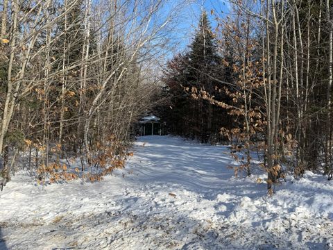 Photo of 839 Oliver Hill Road, Garland, ME 04939 (MLS # 1650961)