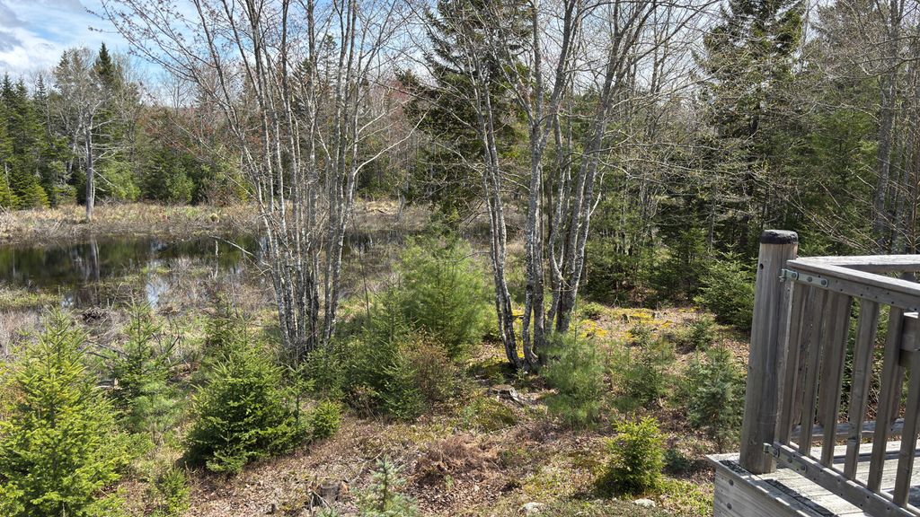 Photo of 61 Ol Cranberry Way, Trenton, ME 04605 (MLS # 1655986)
