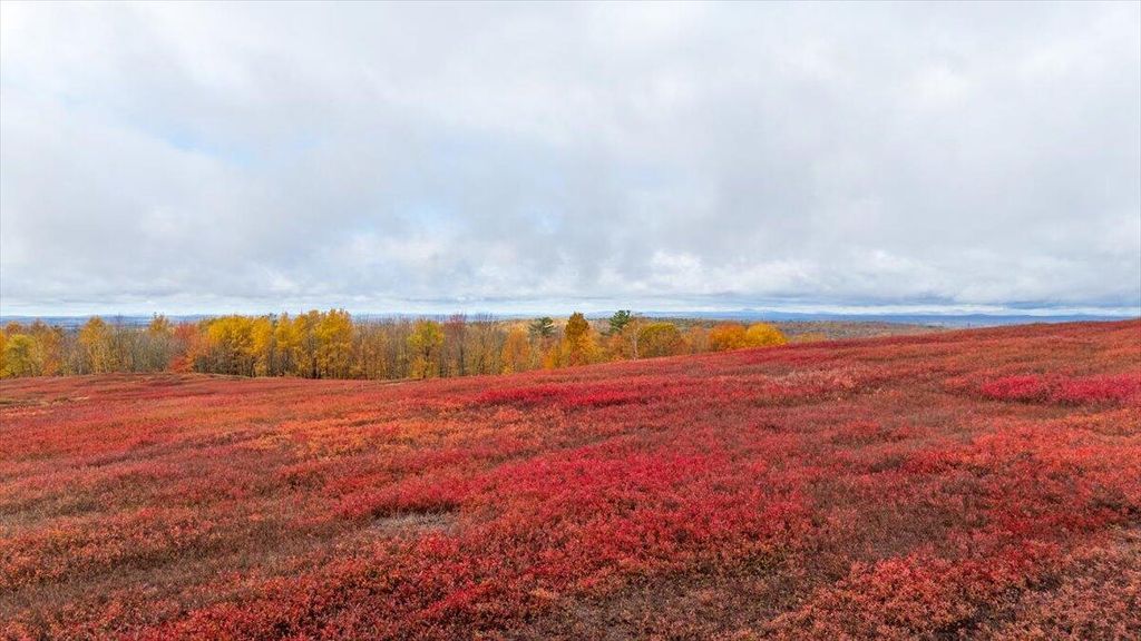 Photo of 1490 Parmenter Road, Palermo, ME 04354 (MLS # 1651584)