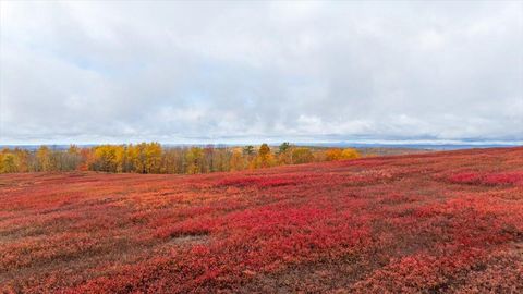 Photo of 1490 Parmenter Road, Palermo, ME 04354 (MLS # 1651584)