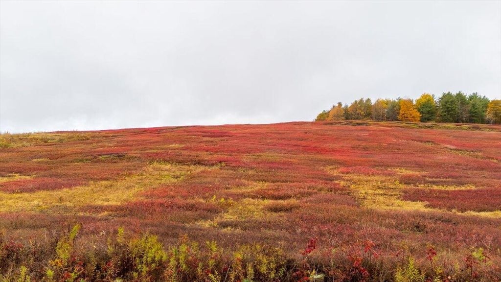 Photo of 1490 Parmenter Road, Palermo, ME 04354 (MLS # 1651584)