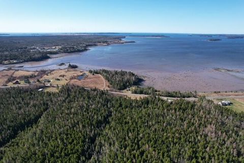 Photo of Lot 29D Cutler Road, Whiting, ME 04691 (MLS # 1660062)