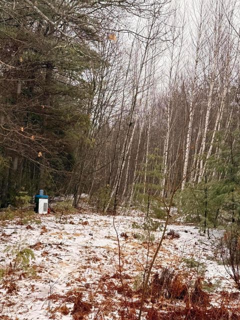 Photo of Lot #5 Mohawk Road, Enfield, ME 04493 (MLS # 1656633)