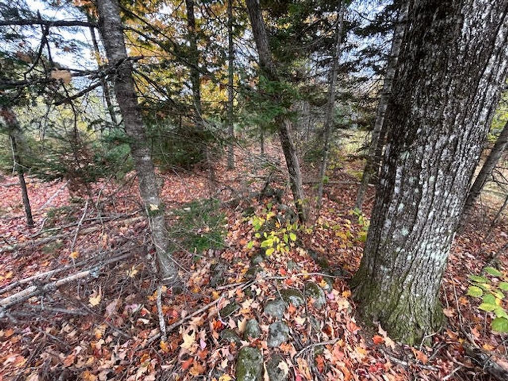 Photo of M 6 L 2.01 Murray Road, Thorndike, ME 04986 (MLS # 1641316)