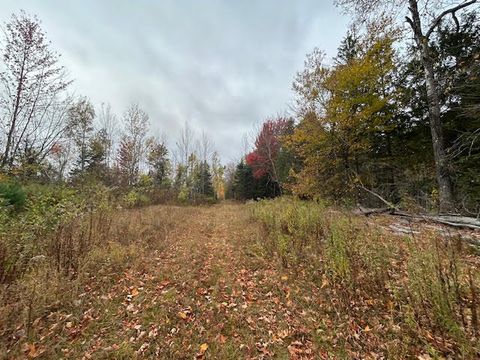 Photo of M 6 L 2.01 Murray Road, Thorndike, ME 04986 (MLS # 1641316)