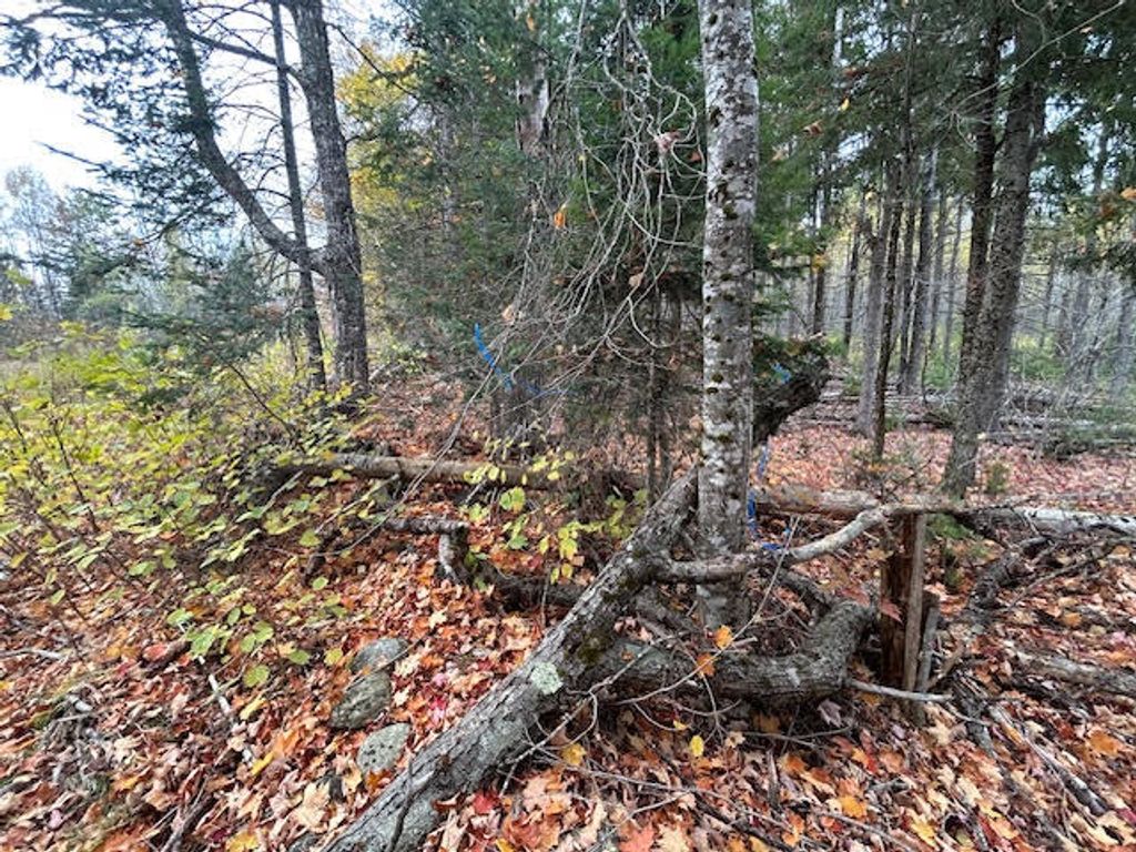 Photo of M 6 L 2.01 Murray Road, Thorndike, ME 04986 (MLS # 1641316)