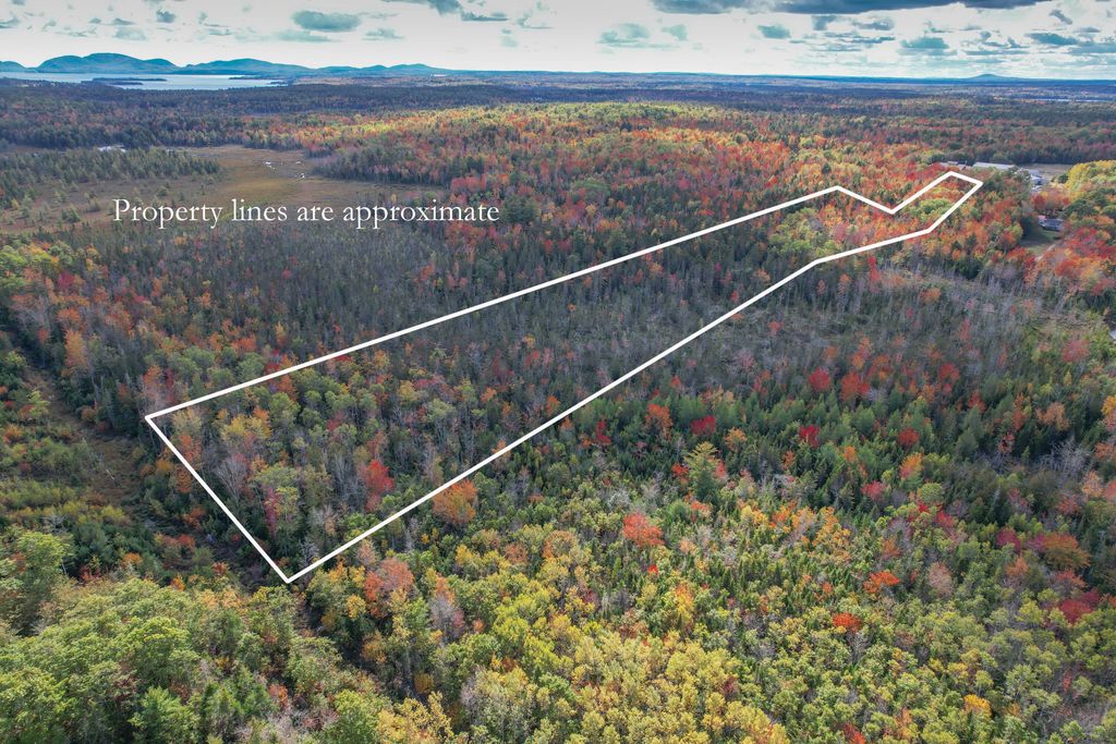 Photo of 535 Bert Gray Road, Sullivan, ME 04664 (MLS # 1656177)