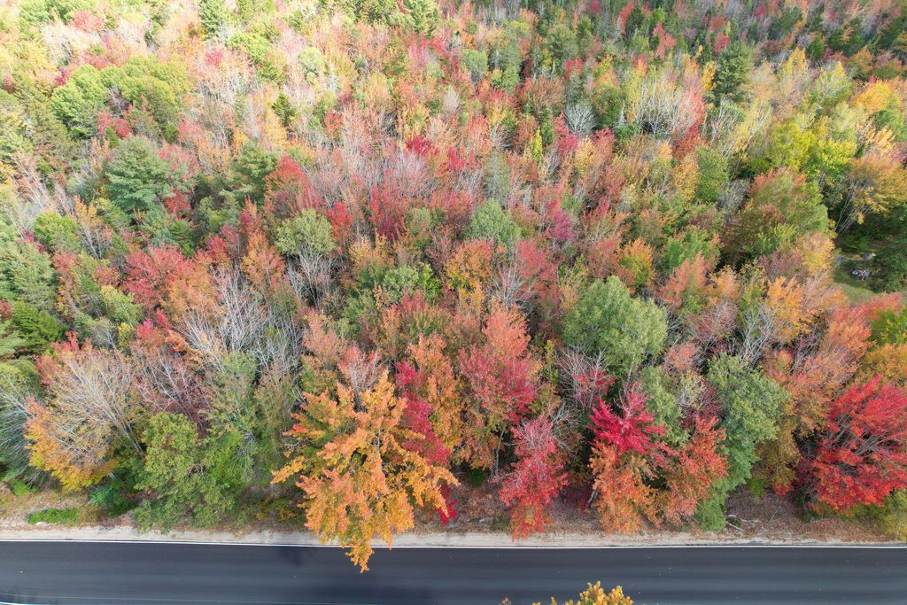 Photo of 535 Bert Gray Road, Sullivan, ME 04664 (MLS # 1656177)