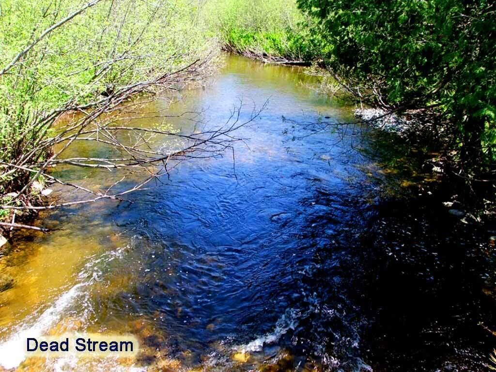 Photo of 496 Fullerton Road, Monticello, ME 04760 (MLS # 1615895)