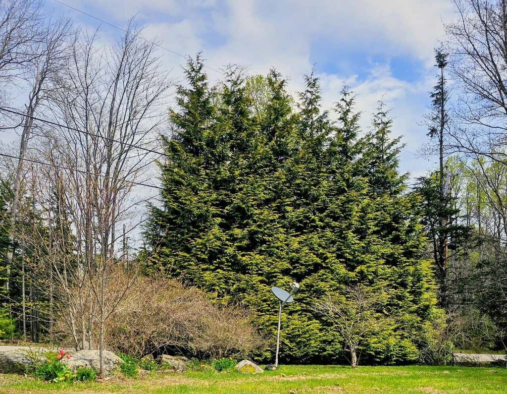 Photo of 24 Grierson Road, South Thomaston, ME 04858 (MLS # 1662561)