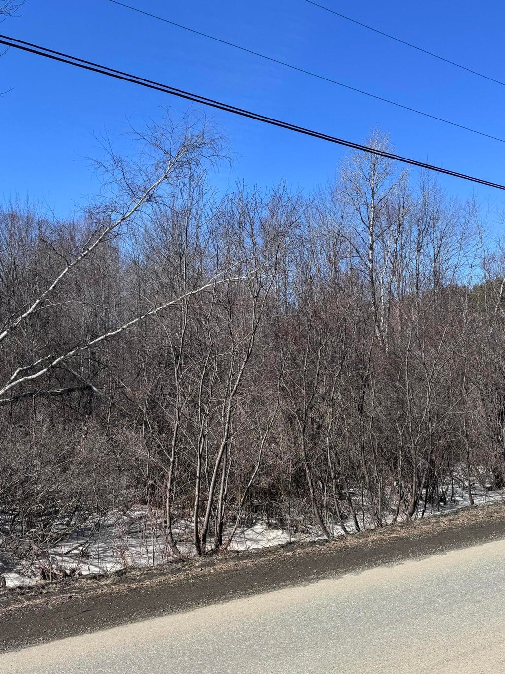 Photo of Lot 53C Corinna Center Road, Corinna, ME 04928 (MLS # 1654360)