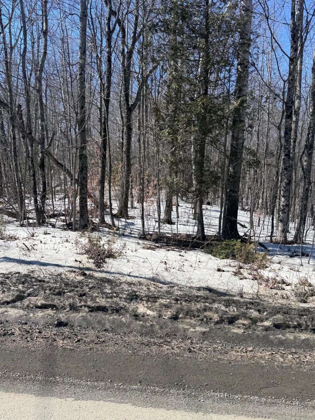 Photo of Lot 53C Corinna Center Road, Corinna, ME 04928 (MLS # 1654360)