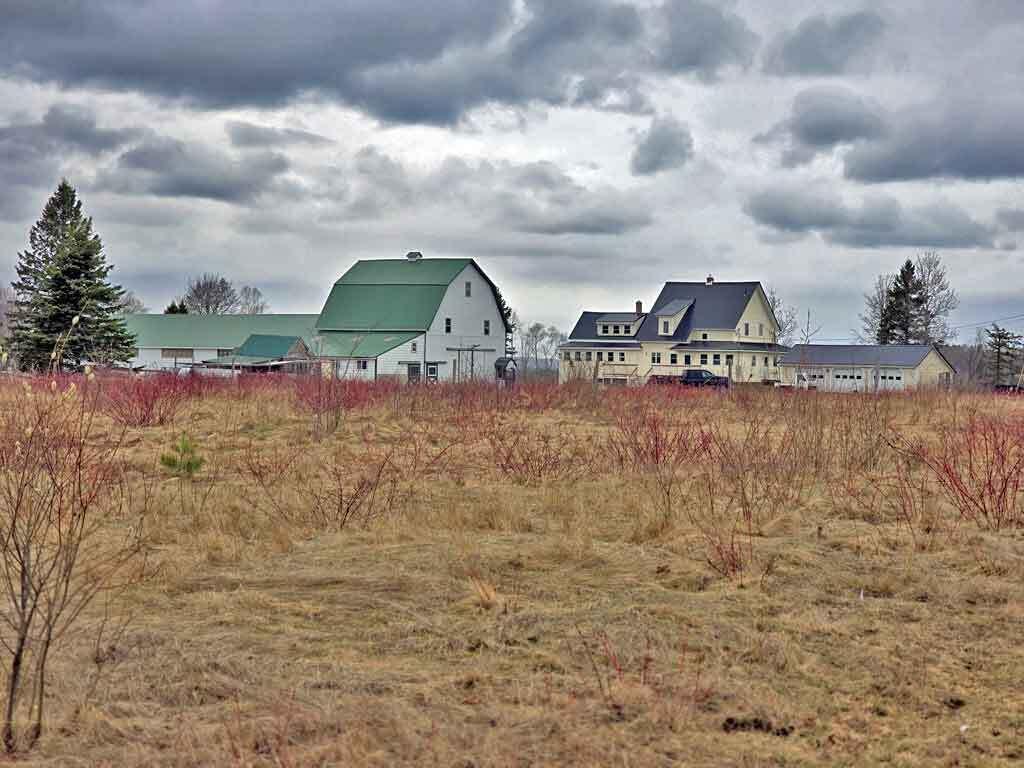 111 Currie Road