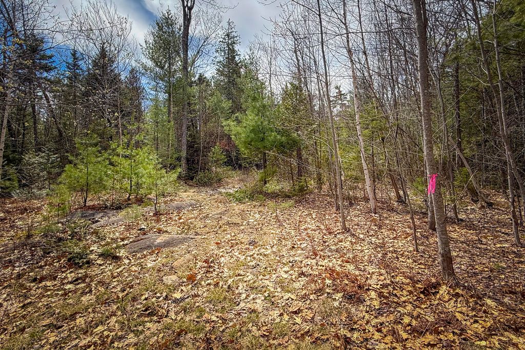 Photo of 2030 Atlantic Highway, Lincolnville, ME 04849 (MLS # 1660484)