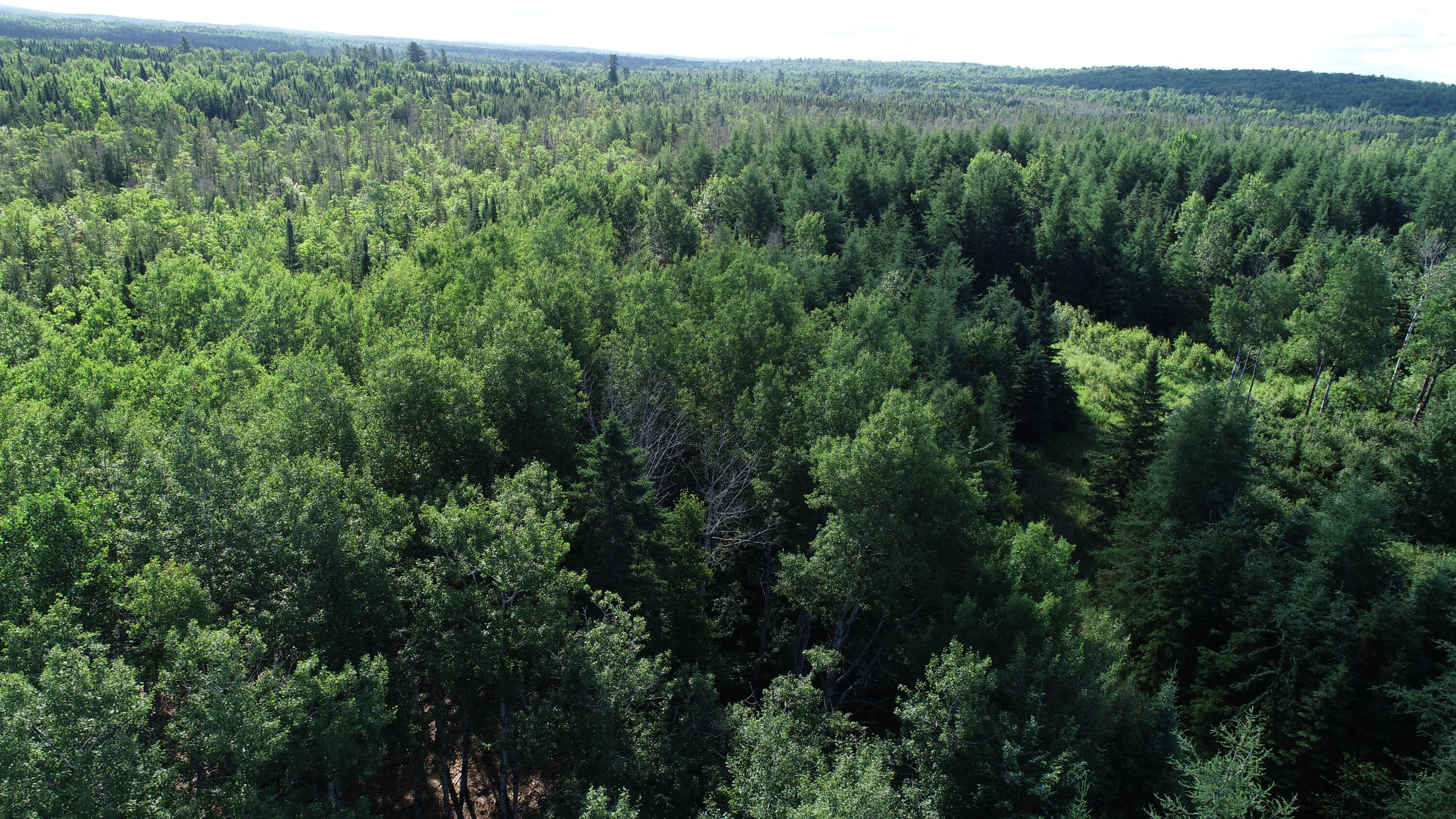 Lot 39 Smith (Haney) Road