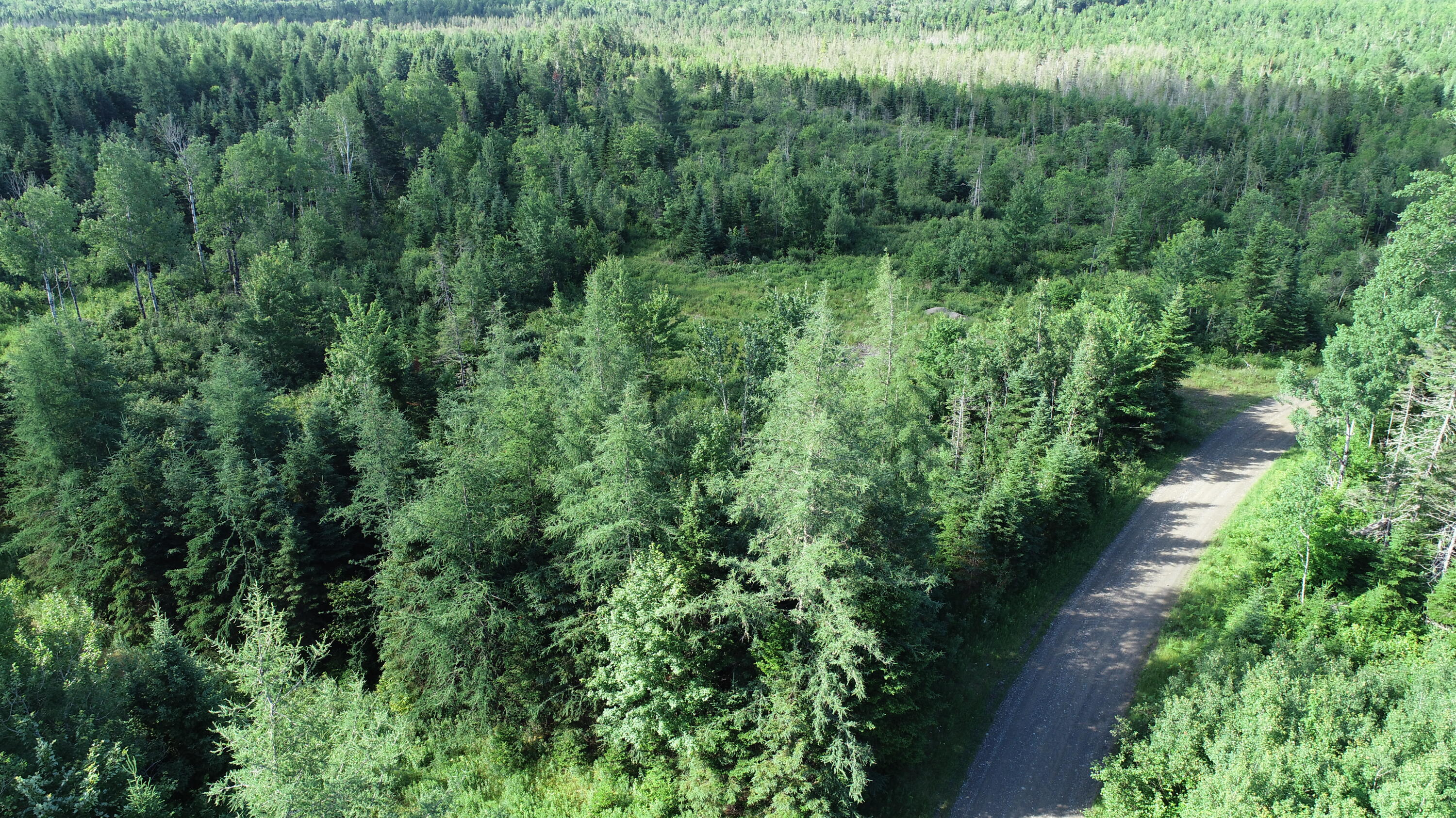 Lot 39 Smith (Haney) Road