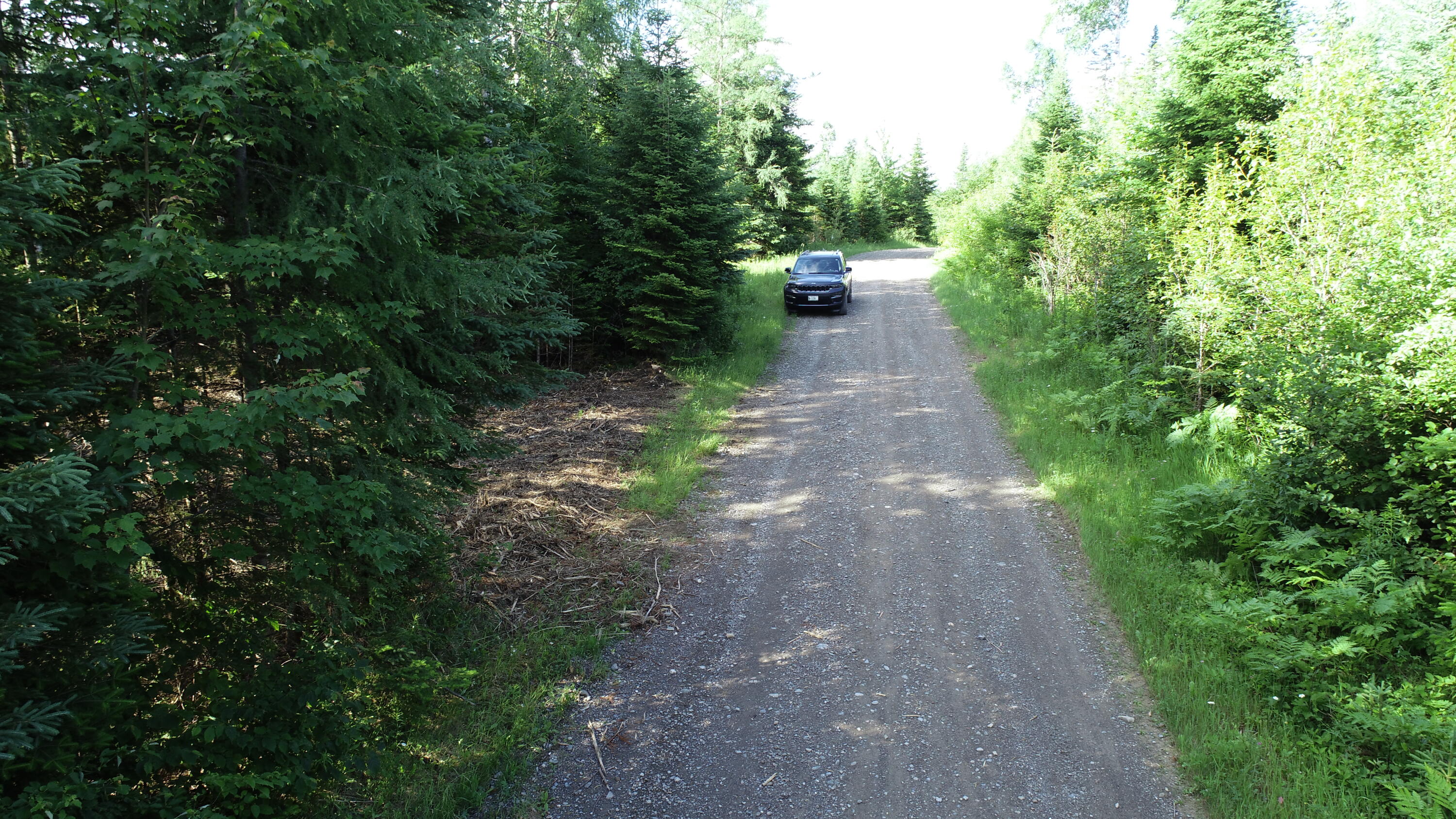 Lot 39 Smith (Haney) Road