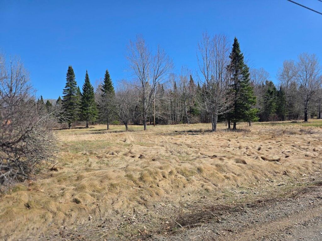 Photo of M 19 l 53 Sherman Street, Island Falls, ME 04747 (MLS # 1659979)