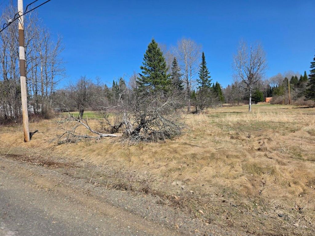 Photo of M 19 l 53 Sherman Street, Island Falls, ME 04747 (MLS # 1659979)