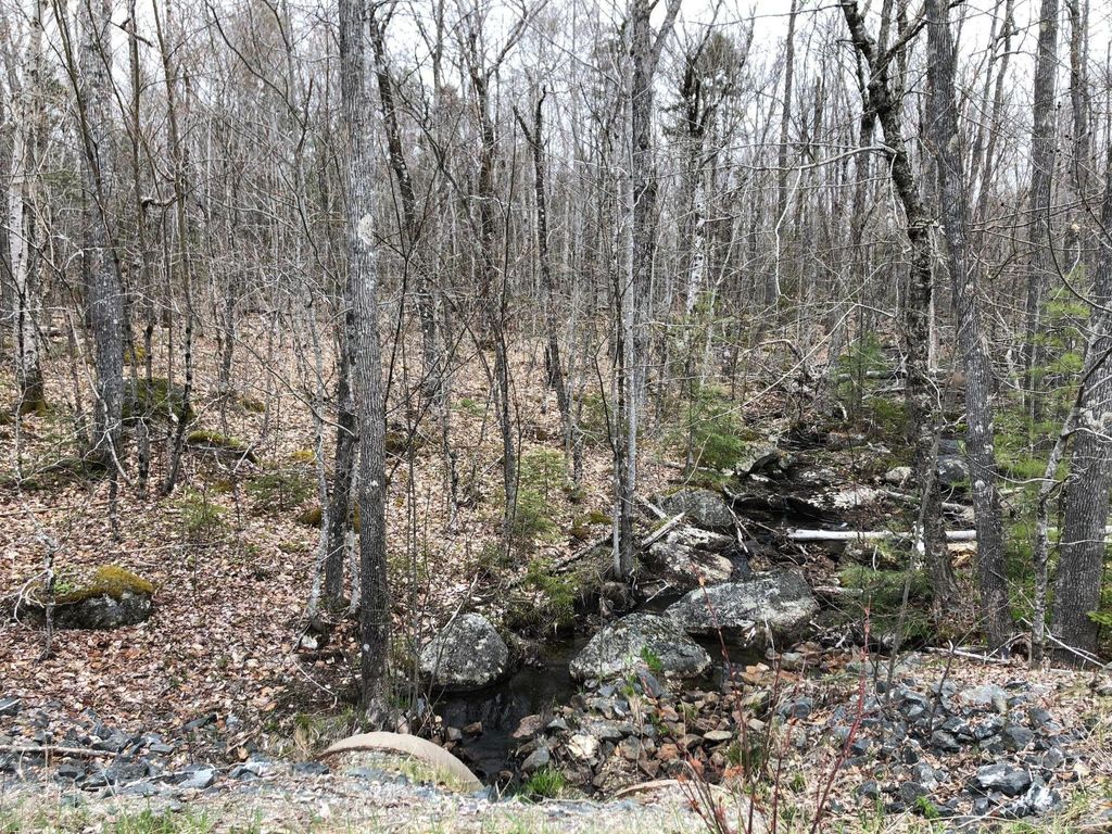 Photo of Map 109 Lot 16 Winkumpaugh Road, Ellsworth, ME 04605 (MLS # 1649390)