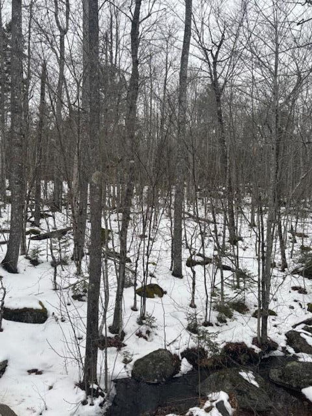 Photo of Map 109 Lot 16 Winkumpaugh Road, Ellsworth, ME 04605 (MLS # 1649390)