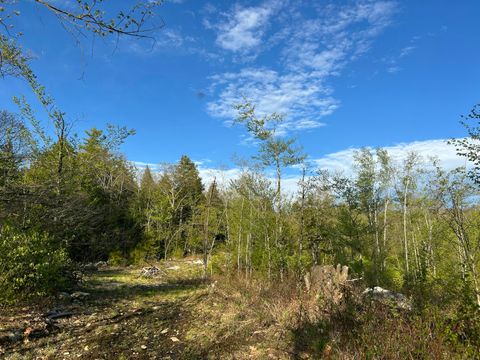 Photo of Map7Lot9 WM Livermore Road, Fayette, ME 04349 (MLS # 1662760)