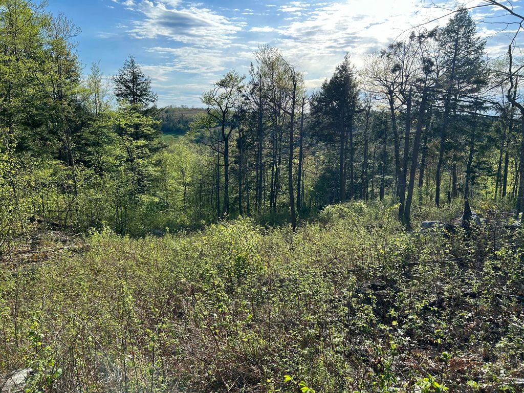 Photo of Map7Lot9 WM Livermore Road, Fayette, ME 04349 (MLS # 1662760)