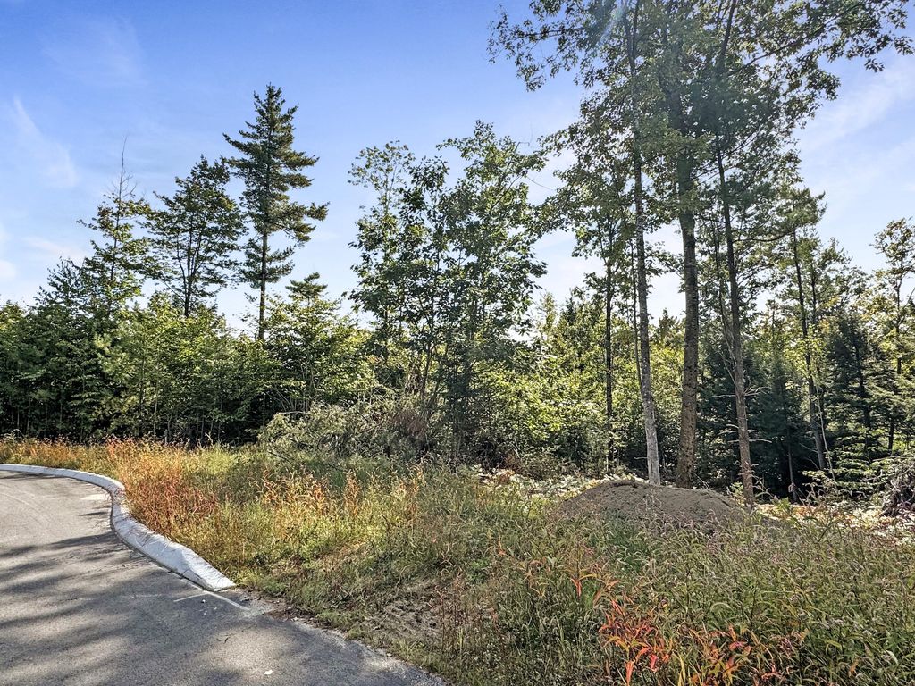 Photo of 3-10 Wilderness Way, Turner, ME 04282 (MLS # 1616627)