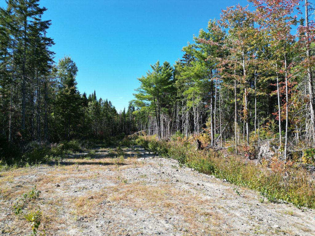 Photo of Lot 14 Whitetail Way, Lowell, ME 04493 (MLS # 1659986)